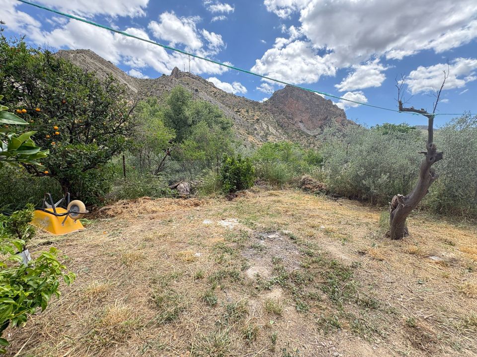 Cortijo i Albanchez, Almeria - bilde 5